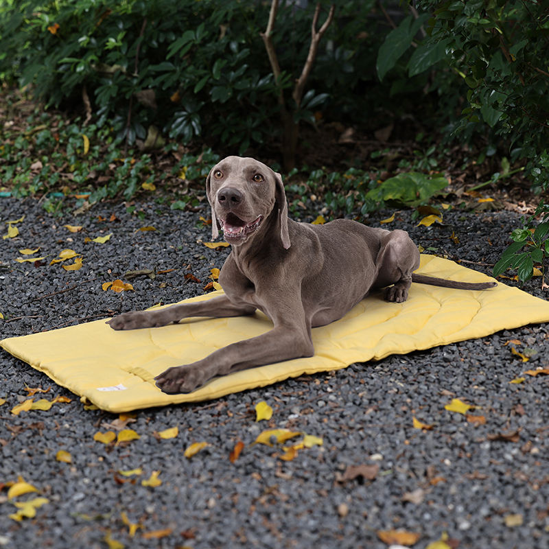 Portable Pet Mat Foldable Pet  - огляд і ціна Outdoor Camping Mat Waterproof